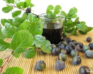 Вино из терновника