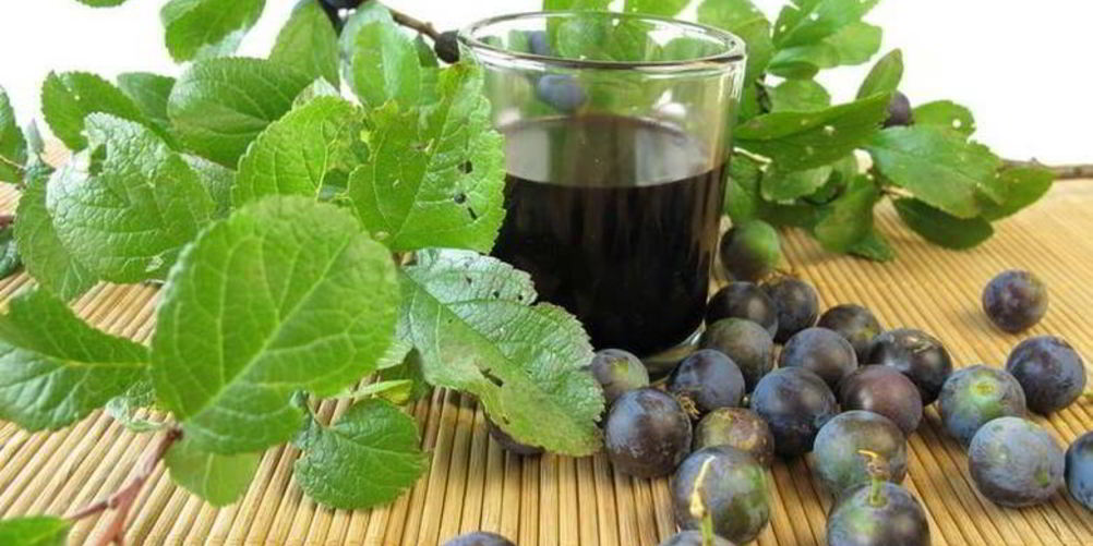 Рецепт вино из терновника