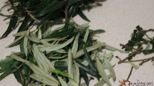 витаминный напиток из листьев облепихи с медом и мятой