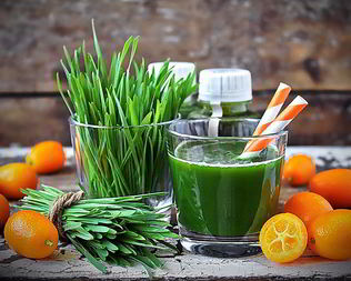 Энергетический коктейль из ростков пшеницы