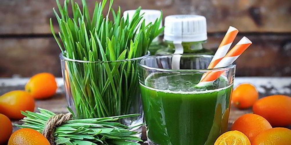 Рецепт энергетический коктейль из ростков пшеницы