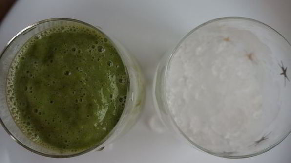 зеленый коктейль антиоксидант