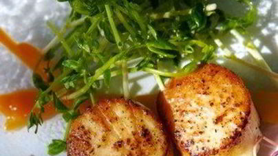 Жареные гребешки в соусе мисо и кленовом сиропе