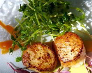 Жареные гребешки в соусе мисо и кленовом сиропе