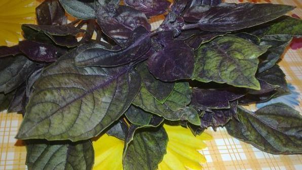 овощной салат с творожными шариками краски лета