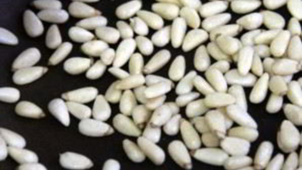 салат из дикого риса