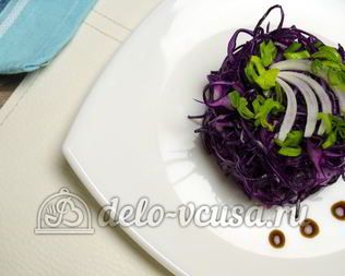 Салат из краснокочанной капусты