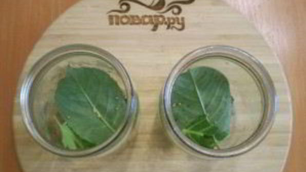 салат из помидоров и огурцов на зиму