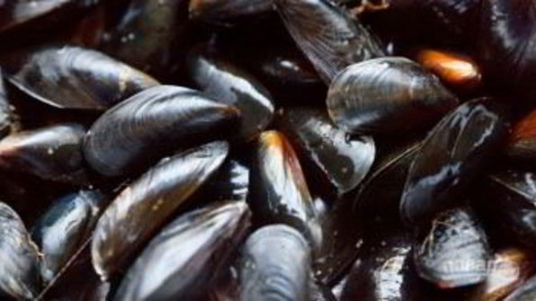 соус к мидиям