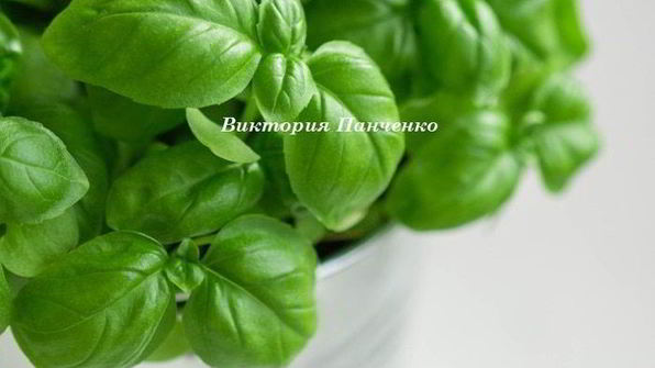 томатный соус для пасты