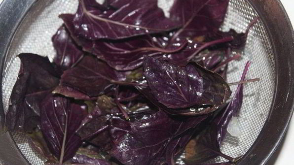 томатный соус пассата