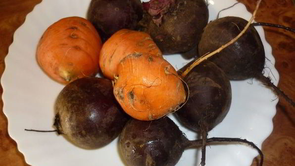 борщ-экспромпт без капусты