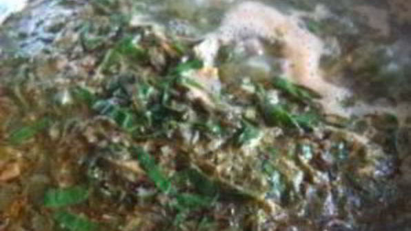 борщ зеленый со щавелем