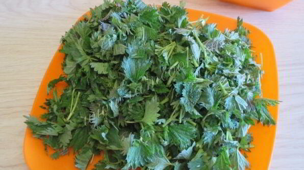 зеленый борщ с крапивой