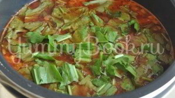 зеленый борщ в мультиварке