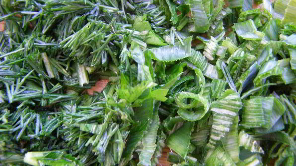 холодник из свеклы