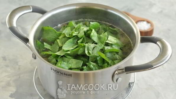 щавелевый суп с курицей