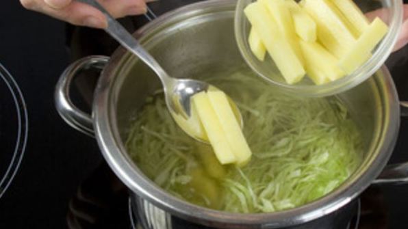 щи из свежей капусты