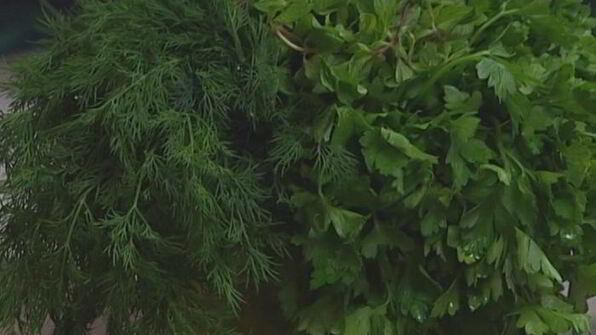 суп из зеленых овощей с яйцом и лимоном