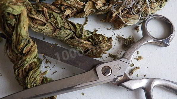 конский щавель — суп-пюре из авелука