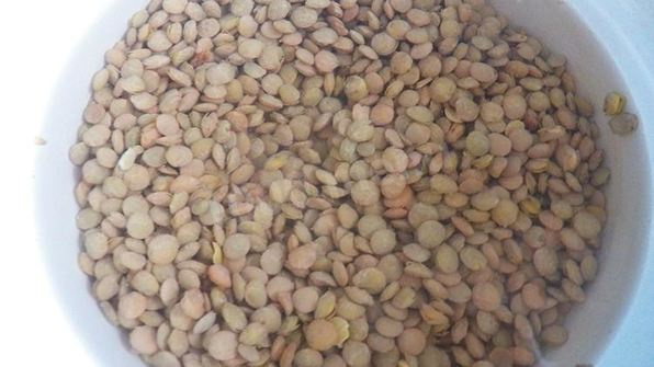 конский щавель — суп-пюре из авелука