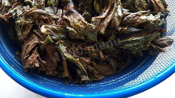 конский щавель — суп-пюре из авелука