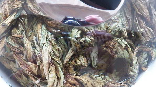 конский щавель — суп-пюре из авелука