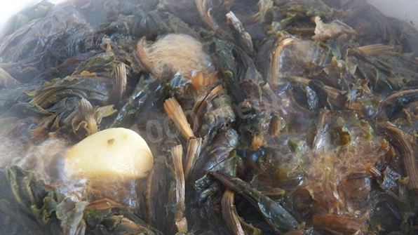 конский щавель — суп-пюре из авелука