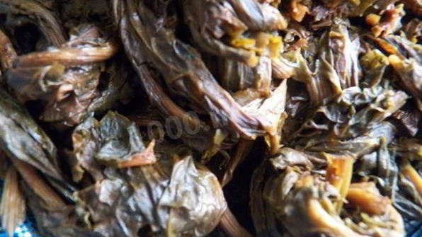 конский щавель — суп-пюре из авелука