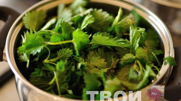 суп-пюре из крапивы