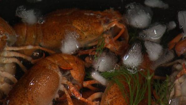 суп с мясом раков