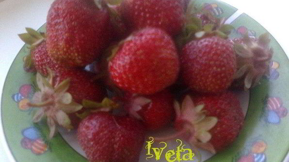 блинчики летний сон