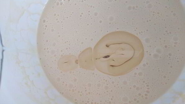 блинчики любимые с ягодным курдом