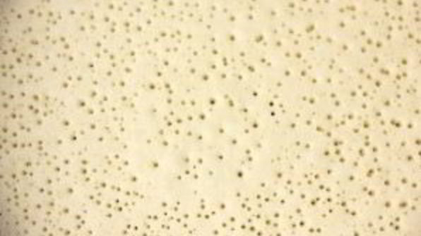 блинчики на сыворотке без яиц