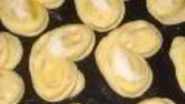 булочки с сахаром сладкие