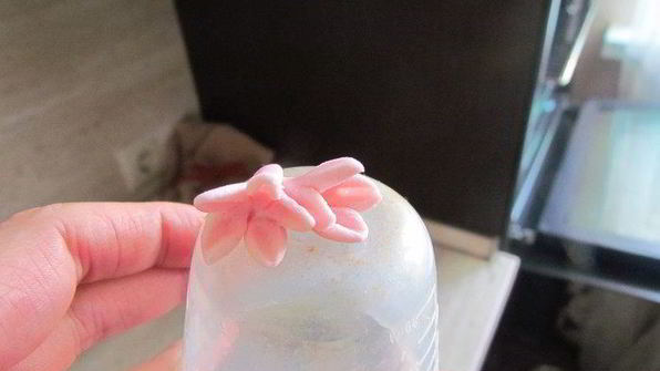 кексы с шоколадом