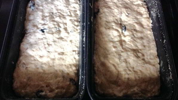 хлеб без замеса с изюмом и семечками