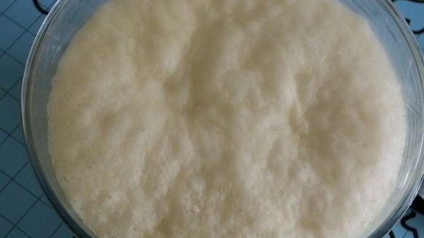 мартышкин хлеб