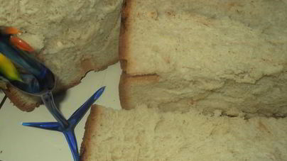 Сахарный хлеб