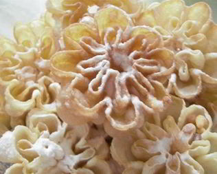 Хворост Розочки