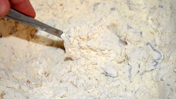 бездрожжевая кефирная лепешка с фундуком и черносливом