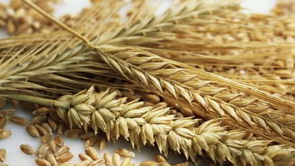 Ржаные лепешки