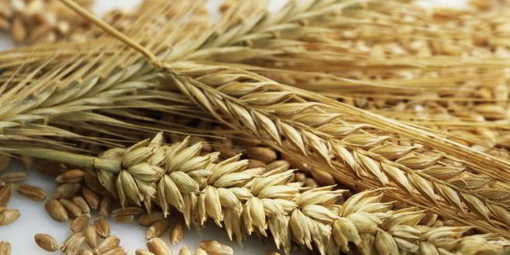 Рецепт ржаные лепешки