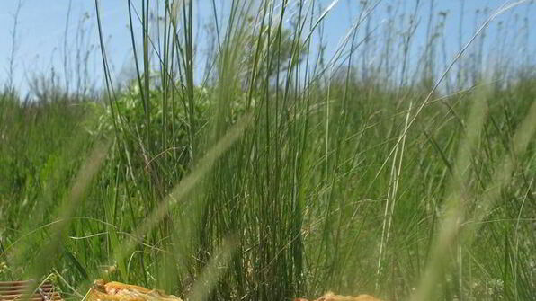 картофельные маффины