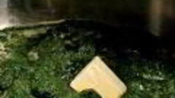 шпинатные маффины