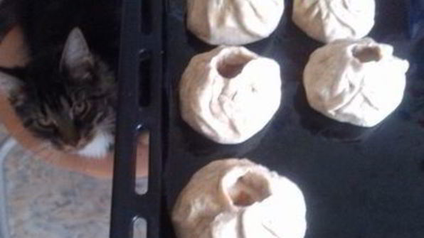 печенье катюшки