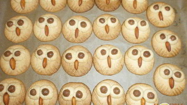 печенье сова