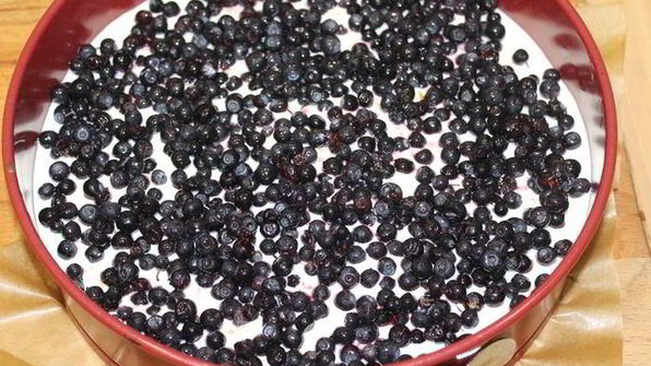 сырный пирог с черникой