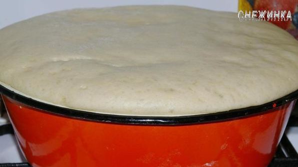 пирожки с мясом и капустой, и пирожковый дракон