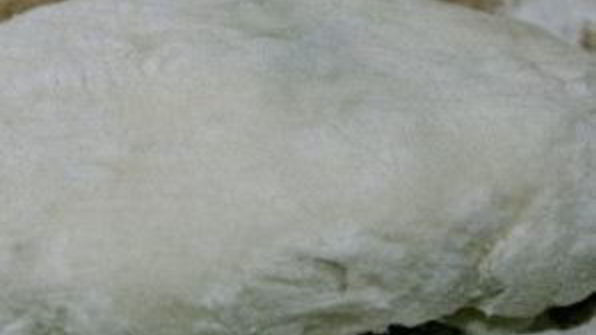 жареные пирожки